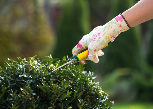 Professional planting services creating a vibrant Brockley garden border