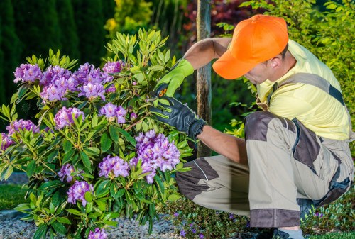 Essential website cookie policy illustration for Landscapers Brockley