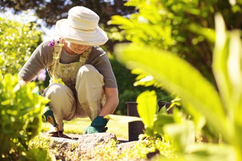 Accessible landscaping website content for Brockley visitors