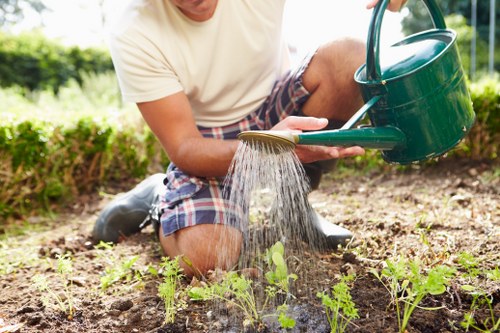 Landscapers Brockley creating a welcoming garden space