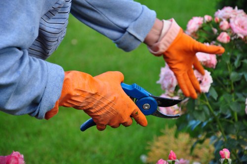 Documented issue raised about garden service