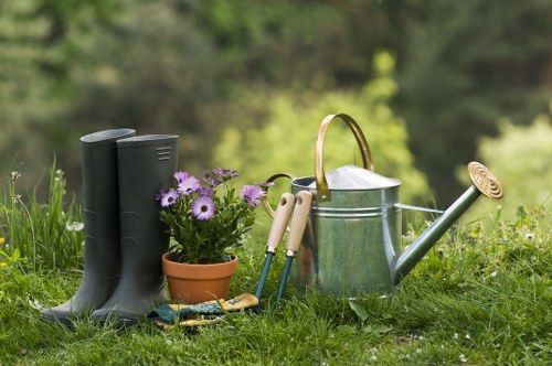 Professional lawn care treatment for a Brockley lawn