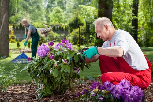 Transparent local pricing for garden clearance in Brockley