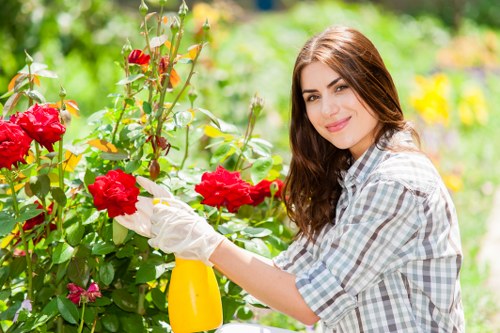 Seasonal garden maintenance tasks in a Brockley outdoor space