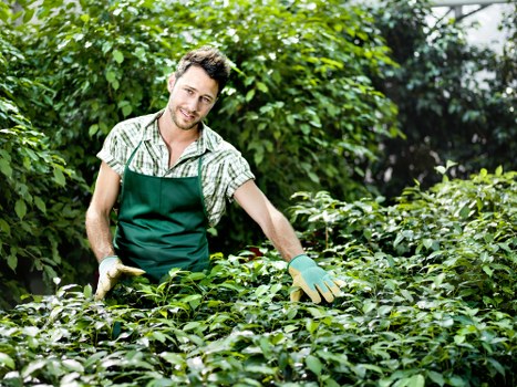 Trusted secure checkout for Brockley landscaping services