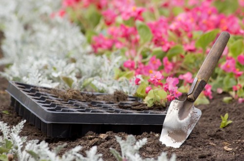 A tidy Brockley garden showing regular maintenance and planting