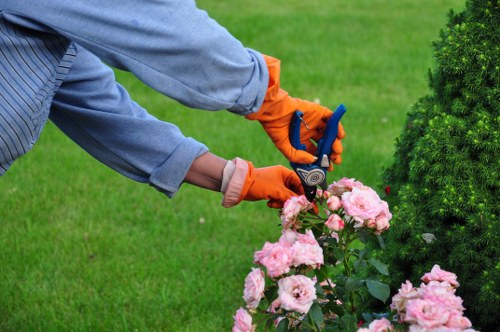 Example landscaping and rubbish removal jobs in Brockley