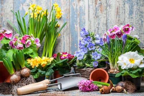 Wildlife-friendly planting scheme in Brockley with diverse flowering plants